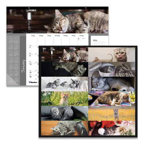 Pets Collection Monthly Desk Pad, Furry Kittens Photography, 22 X 17, White Sheets, Black Binding, 12-month (jan-dec): 2024