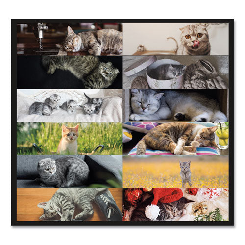 Pets Collection Monthly Desk Pad, Furry Kittens Photography, 22 X 17, White Sheets, Black Binding, 12-month (jan-dec): 2024