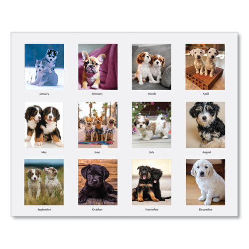 Earthscapes Recycled Desk Tent Monthly Calendar, Puppies Photography, 8.5 X 4.5, White Sheets, 12-month (jan To Dec): 2024