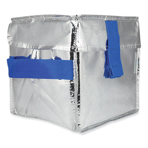 Fresh Eco Freeze Ice Cream Tote, 8.5 X 8 X 9, Silver/blue, 6/carton