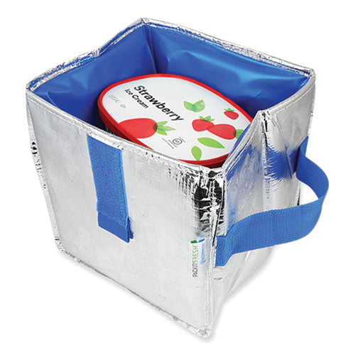 Fresh Eco Freeze Ice Cream Tote, 8.5 X 8 X 9, Silver/blue, 6/carton