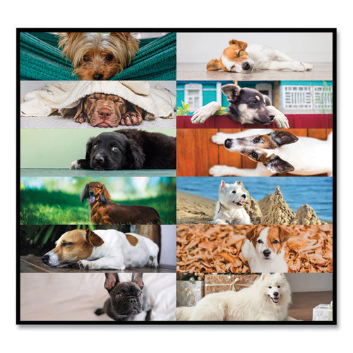 Pets Collection Monthly Desk Pad, Puppies Photography, 22 X 17, Black Binding, Clear Corners, 12-month (jan To Dec): 2024