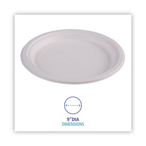 Bagasse Dinnerware, Plate, 9" Dia, White, 500/carton