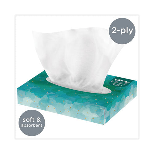 White Facial Tissue Junior Pack, 2-ply, 48 Sheets/box, 64 Boxes/carton