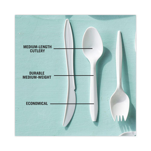 Fieldware Cutlery, Spoon, Mediumweight, White, 1,000/carton