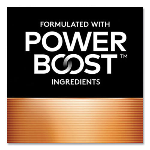 Power Boost Coppertop Alkaline Batteries, Aaa, 12/pack