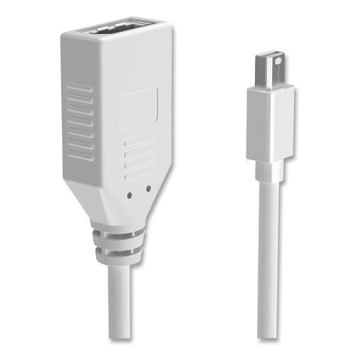 Mini Displayport To Displayport Adapter, 6", White