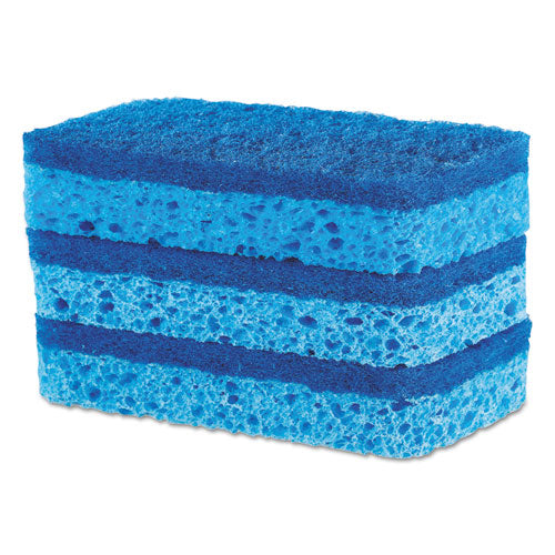 All Surface Scrubber Sponge, 2.5 X 4.5, 0.9" Thick, Dark Blue, 3/pack, 8 Packs/carton