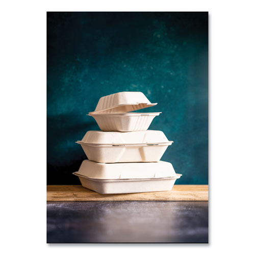 White Molded Fiber Clamshell Containers, 3-compartment, 9 X 18 X 2, White, Sugarcane, 200/carton