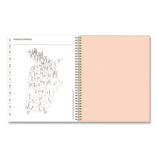 Natalya Weekly/monthly Planner, Abstract Artwork, 11 X 8.5, Peach-pink/white Cover, 12-month (jan To Dec): 2025