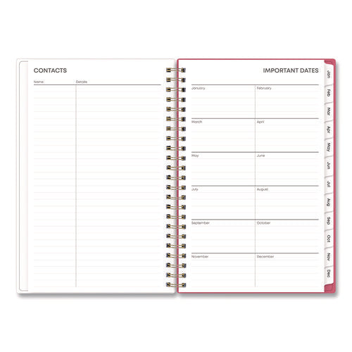 Amalia Weekly/monthly Planner, Mandala Artwork, 8 X 5, Multicolor Cover, 12-month (jan To Dec): 2025